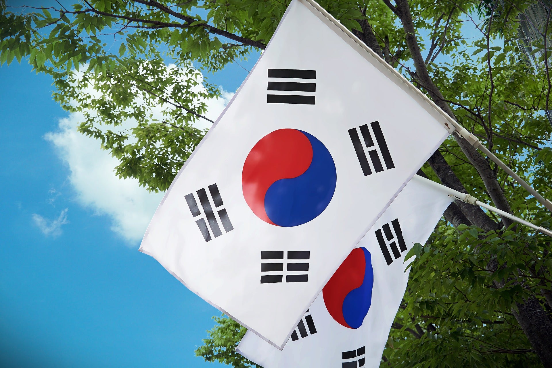 Important Languages and Phrases To Know When Visiting South Korea